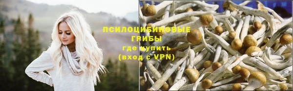 гашик Верхнеуральск